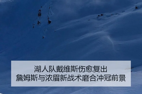 湖人队戴维斯伤愈复出 詹姆斯与浓眉新战术磨合冲冠前景